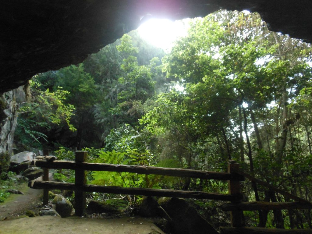 Parque cultural la Zarza y la Zarcita
